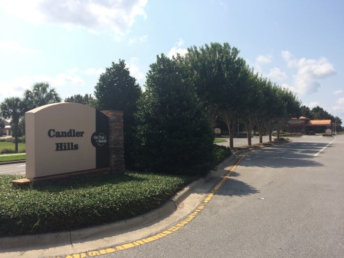 Candler Hills