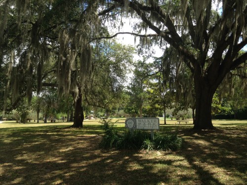Woodfields