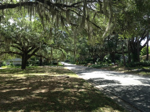 Woodfields